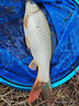 龍王恨漁具包釣魚(yú)便攜輕量魚(yú)竿包耐磨防水多容量竿包釣魚(yú)包釣竿包 輕便漁具包（藍） 曬單實(shí)拍圖