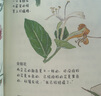 《我的課外觀察日記全三冊》申東璟聯(lián)合出版公司9787550203303 童書書籍 D 預(yù)售 曬單實拍圖