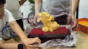 爵世皇庭絨沙金白菜擺件開(kāi)業(yè)喬遷禮品玄關(guān)客廳電視柜辦公室裝飾 絨沙金百財(cái) 曬單實(shí)拍圖