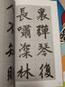 趙體集字古詩：趙孟頫膽巴碑三門記 曬單實(shí)拍圖