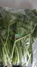 聽蔬 有機芥藍1斤 芥蘭菜甘藍菜 現(xiàn)摘現(xiàn)發(fā) 有機認證新鮮蔬菜 無農(nóng)殘 500g 曬單實拍圖