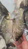 聚漁者過(guò)江風(fēng)釣魚(yú)餌料狂口縱橫噴霧劑黑坑野釣通殺鯽魚(yú)鯉魚(yú)草魚(yú)專用餌料 一瓶裝【江河絕戶餌】 曬單實(shí)拍圖