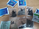 六倍利種孑七彩盆栽四季開(kāi)花易種活花種子籽室內(nèi)花卉植物 （百日草凈籽200粒+肥） 曬單實(shí)拍圖