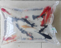 墨之瑤金魚(yú)觀(guān)賞魚(yú)活魚(yú)好養耐活淡水冷水魚(yú)苗養不死蘭壽蝶尾斗魚(yú)熱帶孔 金魚(yú)隨機10條4-6cm7+3備損 曬單實(shí)拍圖