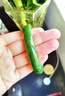 豆蔻時(shí)光和田玉手鐲天然碧玉鐲子菠菜綠陽綠送媽媽送老婆禮物內(nèi)徑51-52mm 曬單實(shí)拍圖