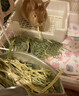 牛寵（niuchong）澳洲進(jìn)口黃金燕麥草兔子荷蘭豬龍貓豚鼠飼料兔草牧草磨牙干草糧食 一番黃金燕麥草【機篩版】500g 曬單實拍圖