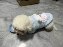 貝初眾狗狗衣服小型犬寵物貓衣服秋冬保暖幼犬小狗衣服比熊泰迪博美衣服 加厚羊羔絨-帶牽引環(huán) M -胸圍40cm【適合5-8斤寵物】 卡通系毛絨刺繡兩腳裝 曬單實(shí)拍圖