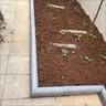 青石板路沿石花壇圍邊石庭院路肩條花園菜園擋泥側邊石圍書路牙石 不規(guī)則20x30x3-4cm(不含運費) 曬單實拍圖