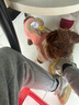智宙 泰迪衣服狗狗衣服秋冬小型犬保暖比熊小狗博美幼犬冬季寵物加厚 棕色M碼（建議4-6斤） 【升級加絨加厚款】 曬單實(shí)拍圖