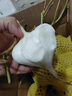 新鮮現(xiàn)挖涼薯2025土地瓜豆薯農(nóng)家自種紅薯白地瓜番薯當(dāng)季特產(chǎn) 5斤裝小薯200-350g 曬單實(shí)拍圖