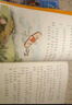 【新華正版】金波童話(huà)注音版 金波四季美文全套4冊 小學(xué)生閱讀課外書(shū)一二年級閱讀書(shū)籍精選帶拼音 長(cháng)江少年兒童出版社 金波四季童話(huà)（注音美繪版） 全4冊 花瓣兒魚(yú)等 曬單實(shí)拍圖