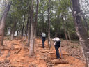 迪卡儂背包城市輕戶(hù)外雙肩包徒步旅行專(zhuān)業(yè)登山包防水女大容量MH500 中春綠-30L S碼：身高≤170 (自帶防雨罩） 曬單實(shí)拍圖