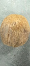 觀(guān)玉佛心果菩提吊墜彩色粉色原籽原色手串釋迦佛心菩提空心金燈菩提 彩色中果一個(gè)不帶工具 曬單實(shí)拍圖