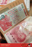 朗捷 現(xiàn)金存錢本只放現(xiàn)金收納袋大容量理財防水收納冊收納包紙幣收藏冊存錢夾票據(jù)收納夾 曬單實拍圖