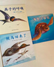 鈴木守遷徙動(dòng)物記（全3冊(cè)，候鳥回來(lái)了+海龜大冒險(xiǎn)+燕子的呼喚） 曬單實(shí)拍圖