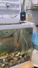 山頭林村充電式增氧泵靜音養(yǎng)魚氧氣泵增氧機(jī)小型加氧泵家用制打氧機(jī)充氧泵 日勝家用靜音3W單孔送2米氣管*1氣石 曬單實(shí)拍圖