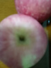 蔬農聯(lián)（SHUNONGLIAN） 正宗山東棲霞紅富士蘋(píng)果 當季新鮮脆甜水果送禮 甄選9斤裝74-79mm凈重8.5斤 曬單實(shí)拍圖