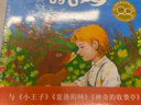 【新華正版】紅色羊齒草的故鄉(xiāng)（2019版）中小學(xué)推薦閱讀課外書必讀書6-9-12歲少兒童成長勵志課外故事書世界經(jīng)典外國兒童文學(xué)短篇動物小說 新星出版社 曬單實拍圖