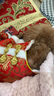 華元寵具（hoopet）小狗狗過(guò)年唐裝喜慶衣服小型犬四腳泰迪比熊吉娃娃寵物秋冬季服裝 雙層加厚四腳唐裝 M:參考體重4-7斤 曬單實(shí)拍圖