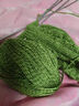 恒源祥恒源祥牌澳洲全毛線(xiàn)羊羔絨線(xiàn)細線(xiàn)diy手工編織純毛線(xiàn)盒裝A0216 50g 911綠色夾花 曬單實(shí)拍圖