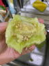 迭果馬連莊甜瓜新鮮采摘頭茬山東青島萊西特產(chǎn)蜜寶王香瓜5斤水果 曬單實(shí)拍圖