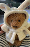 JELLYCAT專(zhuān)柜正品jellycat巴塞羅熊玩偶南瓜熊毛絨玩具浴袍熊草莓小熊公仔 浴袍熊-26cm(贈送防塵袋) 專(zhuān)柜正品 曬單實(shí)拍圖