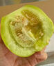 南步山東馬連莊甜瓜【順豐】萊西特產(chǎn)蜜寶小香瓜小蜜蜂星甜瓜新鮮水果 5斤 精選中大果【約7-9?！?曬單實(shí)拍圖