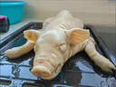 京戰(zhàn)新鮮現(xiàn)殺冷凍烤乳豬整只生豬脆皮豬酒店小耳脆皮烤乳豬小豬肉新鮮 精品整只乳豬（6-7）送腌料 曬單實拍圖