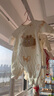 巴厘小豬【龍寶寶】嬰兒衣服新生兒連體衣秋冬季夾絲保暖爬爬服初生兒哈衣 小金龍 52cm 曬單實(shí)拍圖