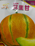 長(cháng)耕其力甘新疆老漢瓜種子超甜哈密瓜種籽春秋僅適用西北特色水果種孑 (10克x2包)其力甘甜瓜種子 曬單實(shí)拍圖