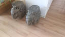 荷府家居 家居戶(hù)外庭院大象門(mén)墩抱鼓石一對 人造石雕門(mén)墩石墩擺件門(mén)口花盆底座 祥云象墩（大象一對） 曬單實(shí)拍圖