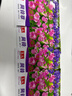 風(fēng)鈴草花種室內(nèi)外庭院鈴蘭花盆栽花種子花種籽子四季開花易活花籽 風(fēng)鈴草種子/包約1000粒 5包 曬單實(shí)拍圖