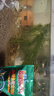 保拿仕魚(yú)食小型魚(yú)熱帶魚(yú)飼料不渾水小魚(yú)幼魚(yú)貼片孔雀魚(yú)米奇斗魚(yú)薄片魚(yú)糧 68g微顆粒 下沉【10包】 曬單實(shí)拍圖