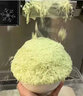 灃舟雪花冰機智能冰沙制冰機火鍋店甜品商用擺攤綿綿冰機碎冰小吃雪冰機自動雪花機 智能觸控【60KG/24H】360W 曬單實拍圖