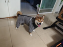超可耐狗衣服冬季四腳棉衣加厚保暖防風(fēng)耐寒狗狗衣服柴犬2025多功能棉衣 灰色 3XL碼（胸圍58背長(cháng)47cm） 曬單實(shí)拍圖
