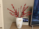 購優(yōu)匯北美冬青鮮切枝鮮花束紅果水培水養綠植植物室內春節年宵花卉真花 北美冬青(50cm)2支 不含花瓶 曬單實(shí)拍圖