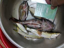 戰流老鬼大福壽戰斗篇羅非魚(yú)餌料黑坑主攻大非春季野釣羅飛配方羅菲魚(yú) 大福壽-肝味餌400克（1包） 曬單實(shí)拍圖