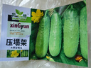 水果黃瓜種子高產(chǎn)壓趴架四季盆栽春秋黃瓜種旱籽大棚陽(yáng)臺蔬菜種子 甜脆水果黃瓜原裝1包（約50粒） 曬單實(shí)拍圖