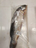微山湖野生鯉魚四鼻鯉魚新鮮活魚現(xiàn)殺凈膛漁民捕撈 微山湖野生鯉魚 8斤/條(宰殺好15-20%損耗) 曬單實(shí)拍圖