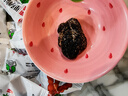 阿表哥野酸角糖500g云南特產(chǎn)酸甜孕婦小零食果脯蜜餞酸角大王羅望子 野酸角500g 曬單實(shí)拍圖