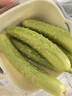 嗯嗯樂(lè )【順豐】山東海陽(yáng)白玉黃瓜 玉女水果小黃瓜 青瓜 新鮮生鮮特產(chǎn) 5斤 白玉黃瓜 曬單實(shí)拍圖