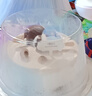 元祖（GANSO）8號水果之戀冰淇淋蛋糕900g 生日蛋糕同城配送 動物奶油網(wǎng)紅冰品 曬單實拍圖