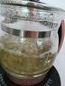 蘇泊SUlPOR爾同款養(yǎng)生壺全自動(dòng)加厚玻璃多功能電煮茶壺中藥壺煎藥大容量2.5L 小禮物+2個(gè)過濾網(wǎng)+蒸籠 2.5L 曬單實(shí)拍圖