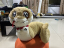 貝尚星 小狗蛇點(diǎn)點(diǎn)毛絨玩具七夕情人節(jié)禮物女公仔生日玩偶蛇全長90cm 曬單實(shí)拍圖