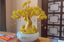廣贊萊財源廣進(jìn)發(fā)財樹擺件落地公司開業(yè)喬遷禮品大堂前臺辦公室擺設(shè) 發(fā)財樹【無底座】 曬單實(shí)拍圖