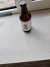 廢墟精釀雙料皮爾森啤酒  296ml*12支裝 296mL 12瓶 曬單實拍圖