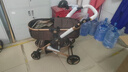 babypure shine高景觀雙向推行嬰兒推車可坐可躺輕便折疊四輪推車兒童車四季通用 款-卡其鋁管大橡膠四輪-加 曬單實(shí)拍圖