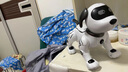 斯比奇機器狗智能機器狗遙控兒童玩具編程小狗特技男孩電子機械狗2025新 經(jīng)典款遙控特技狗 官方標配[可充電電池] 曬單實拍圖