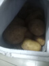 內(nèi)蒙土豆烏蘭察布2024年土豆新鮮蔬菜土豆黃心馬鈴薯黃皮土豆 凈重9斤 曬單實(shí)拍圖