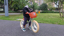 飛鴿（FLYING PIGEON）兒童平衡車2-6歲兒童滑步車寶寶平衡車兒童車帶腳踏兒童滑行車 14寸 高配清新綠 |充氣輪+大禮包 曬單實拍圖